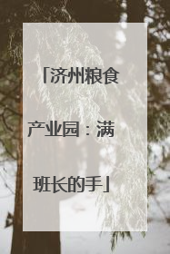 济州粮食产业园：满班长的手