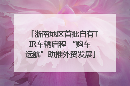 浙南地区首批自有TIR车辆启程 “购车远航”助推外贸发展