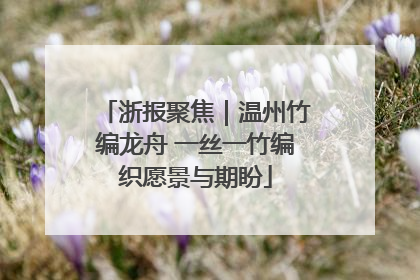 浙报聚焦｜温州竹编龙舟 一丝一竹编织愿景与期盼