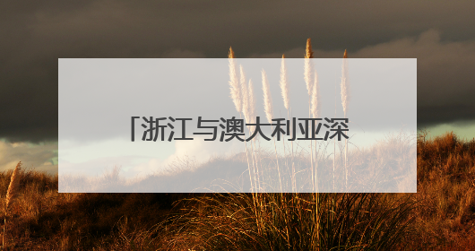 浙江与澳大利亚深化双边合作 共筑经贸对接新平台