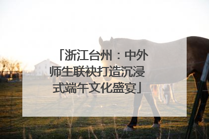 浙江台州：中外师生联袂打造沉浸式端午文化盛宴