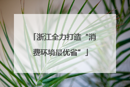 浙江全力打造“消费环境最优省”