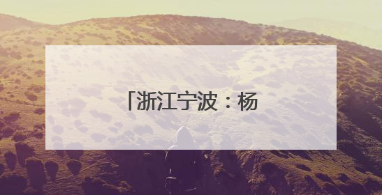 浙江宁波：杨梅挂枝引客来
