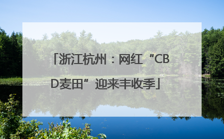 浙江杭州：网红“CBD麦田”迎来丰收季