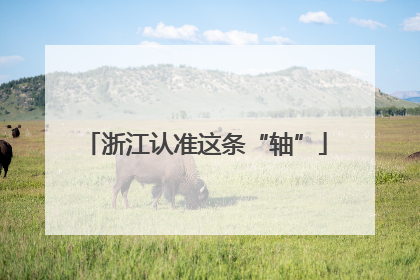 浙江认准这条“轴”