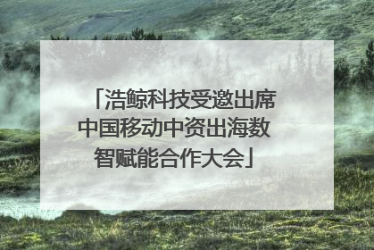 浩鲸科技受邀出席中国移动中资出海数智赋能合作大会