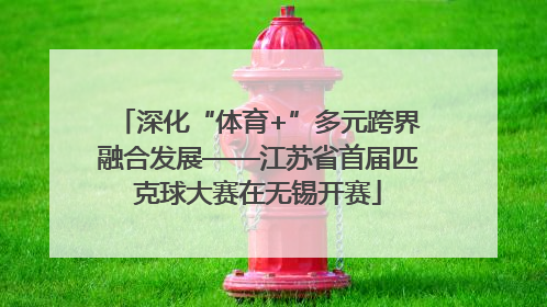 深化“体育+”多元跨界融合发展——江苏省首届匹克球大赛在无锡开赛