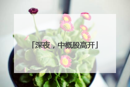 深夜，中概股高开