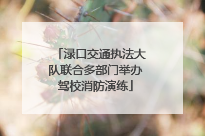 渌口交通执法大队联合多部门举办驾校消防演练
