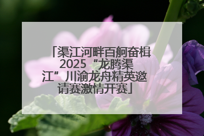 渠江河畔百舸奋楫 2025“龙腾渠江”川渝龙舟精英邀请赛激情开赛