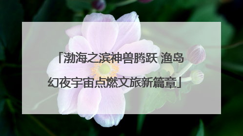 渤海之滨神兽腾跃 渔岛幻夜宇宙点燃文旅新篇章