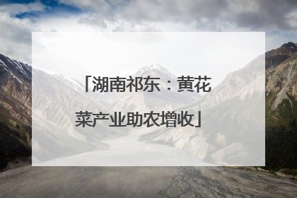 湖南祁东：黄花菜产业助农增收