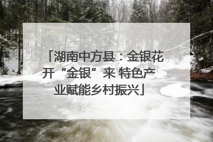湖南中方县：金银花开“金银”来 特色产业赋能乡村振兴