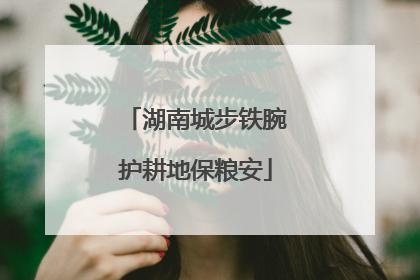 湖南城步铁腕护耕地保粮安