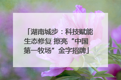 湖南城步：科技赋能生态修复 擦亮“中国第一牧场”金字招牌