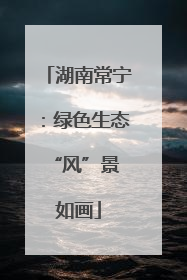 湖南常宁：绿色生态 “风”景如画