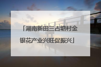 湖南新田三占塘村金银花产业兴旺促振兴