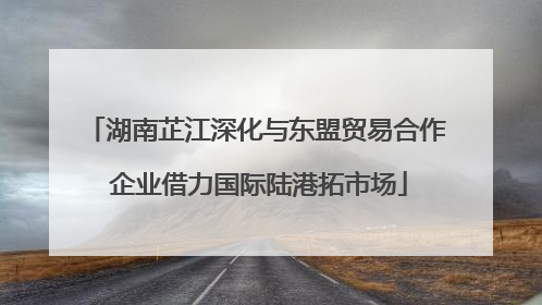 湖南芷江深化与东盟贸易合作 企业借力国际陆港拓市场