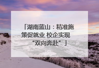 湖南蓝山：精准施策促就业 校企实现“双向奔赴”