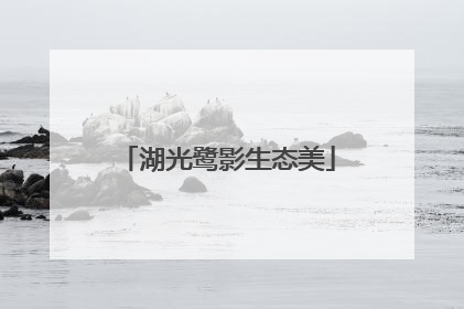 湖光鹭影生态美