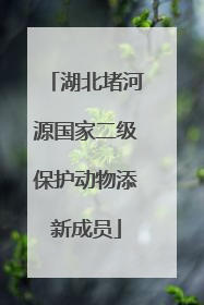 湖北堵河源国家二级保护动物添新成员
