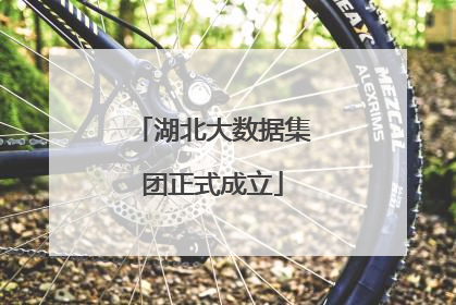 湖北大数据集团正式成立