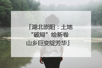 湖北崇阳：土地“破局”绘新卷 山乡巨变绽芳华