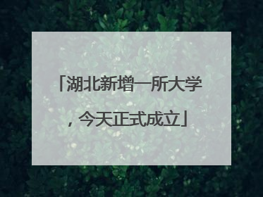 湖北新增一所大学，今天正式成立