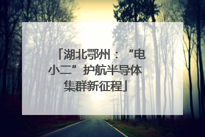 湖北鄂州：“电小二”护航半导体集群新征程