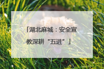 湖北麻城：安全宣教深耕“五进”