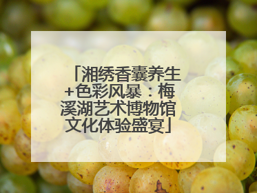 湘绣香囊养生+色彩风暴：梅溪湖艺术博物馆文化体验盛宴