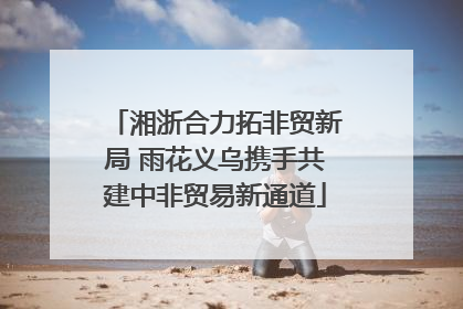 湘浙合力拓非贸新局 雨花义乌携手共建中非贸易新通道
