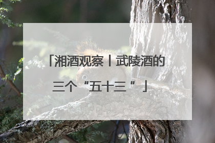 湘酒观察丨武陵酒的三个“五十三 ”