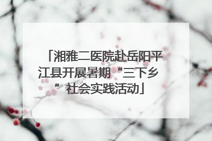 湘雅二医院赴岳阳平江县开展暑期“三下乡”社会实践活动