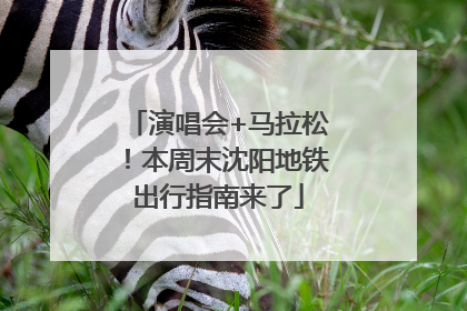 演唱会+马拉松！本周末沈阳地铁出行指南来了
