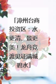 漳州台商投资区：水更清、景更美！龙舟竞渡见证满城碧水