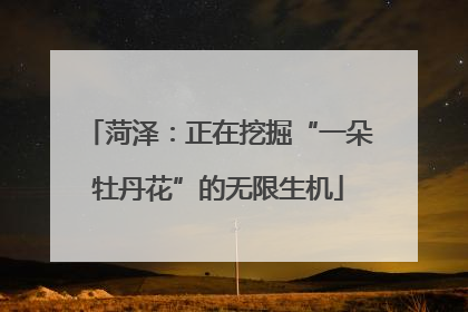菏泽：正在挖掘“一朵牡丹花”的无限生机