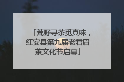 荒野寻茶觅真味，红安县第九届老君眉茶文化节启幕