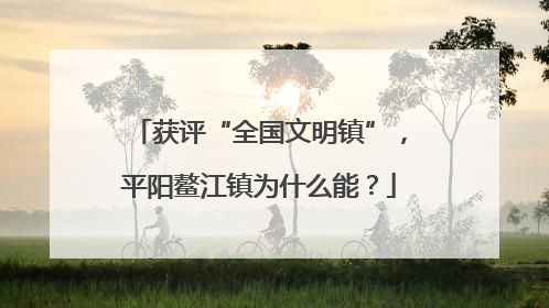 获评“全国文明镇”，平阳鳌江镇为什么能？