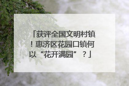 获评全国文明村镇！惠济区花园口镇何以“花开满园”？
