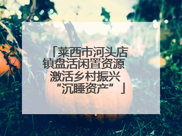 莱西市河头店镇盘活闲置资源 激活乡村振兴“沉睡资产”
