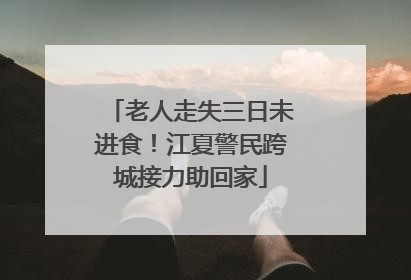 老人走失三日未进食！江夏警民跨城接力助回家
