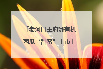 老河口王府洲有机西瓜“甜蜜”上市