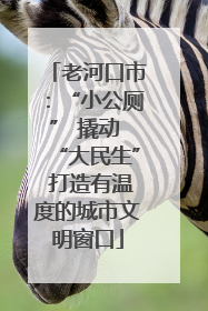 老河口市：“小公厕” 撬动 “大民生” 打造有温度的城市文明窗口