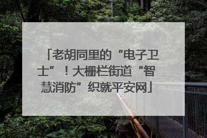老胡同里的“电子卫士”！大栅栏街道“智慧消防”织就平安网
