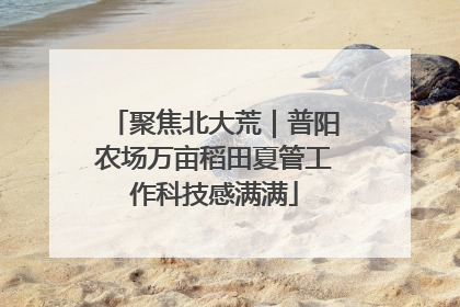 聚焦北大荒|普阳农场万亩稻田夏管工作科技感满满