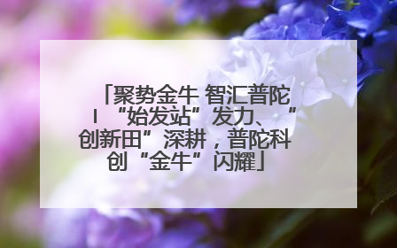 聚势金牛 智汇普陀〡“始发站”发力、“创新田”深耕，普陀科创“金牛”闪耀