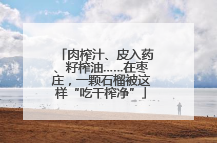 肉榨汁、皮入药、籽榨油……在枣庄，一颗石榴被这样“吃干榨净”