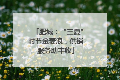 肥城：“三夏”时节金麦浪，供销服务助丰收