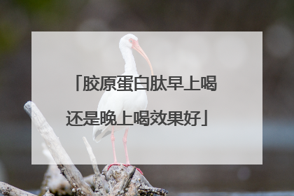 胶原蛋白肽早上喝还是晚上喝效果好